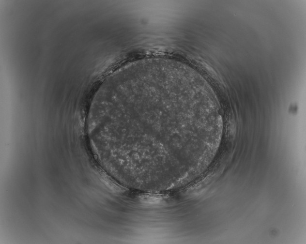 X0000094440661200711291637