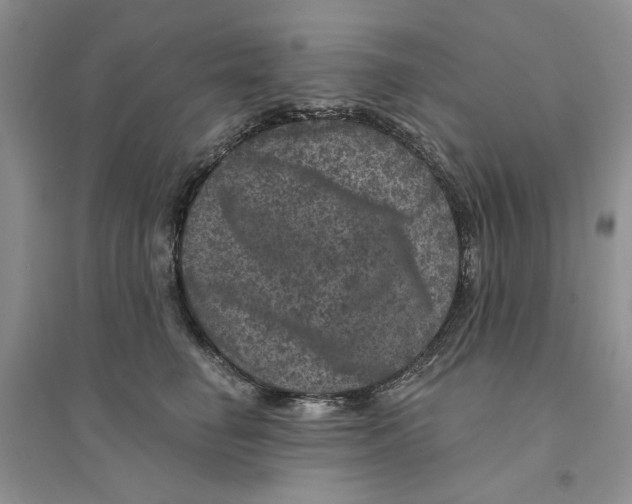 X0000094440662200711291637