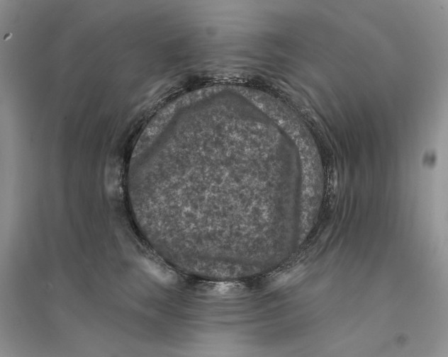 X0000094440663200711291637