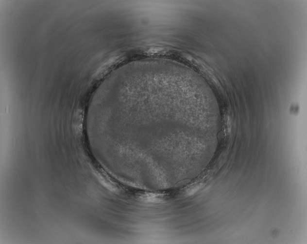 X0000094440664200711291637