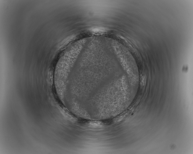 X0000094440666200711291637