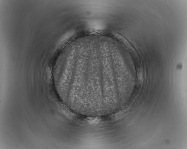 X0000094440667200711291637