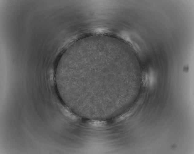 X0000094440670200711291637