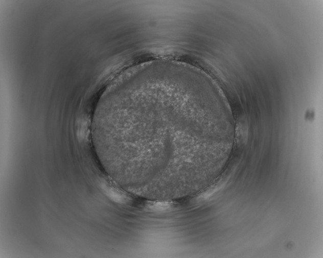 X0000094440671200711291637