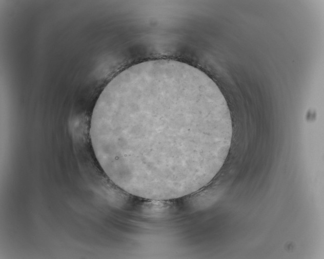 X0000094440672200711291637