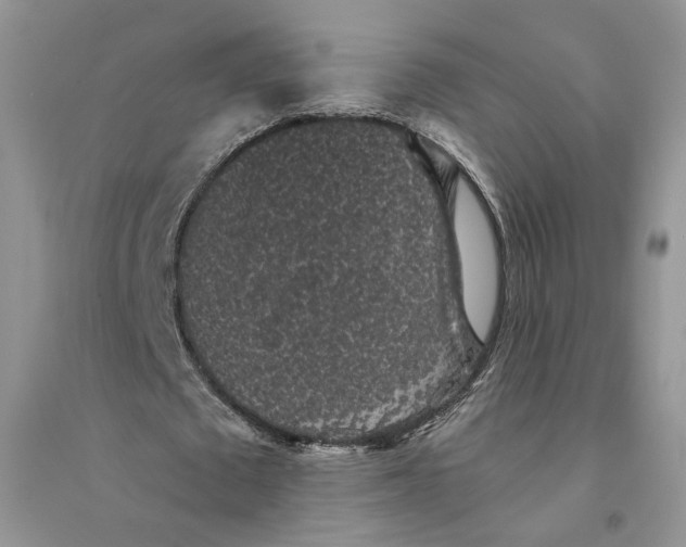 X0000094440673200711291636