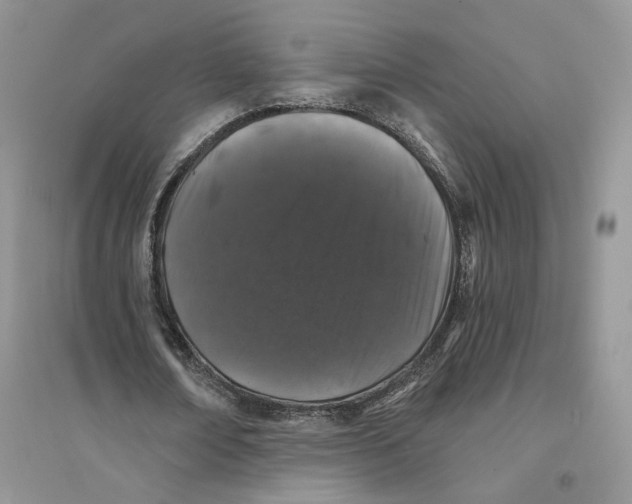 X0000094440674200711291636