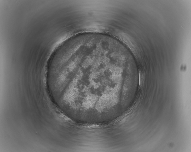 X0000094440675200711291636