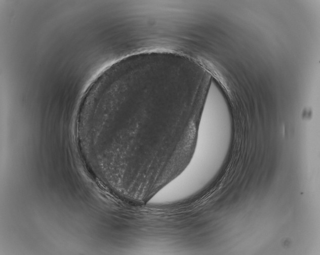 X0000094440676200711291636