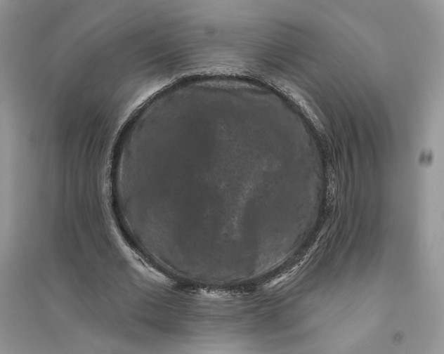 X0000094440677200711291636