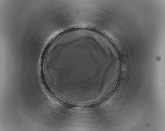 X0000094440678200711291636