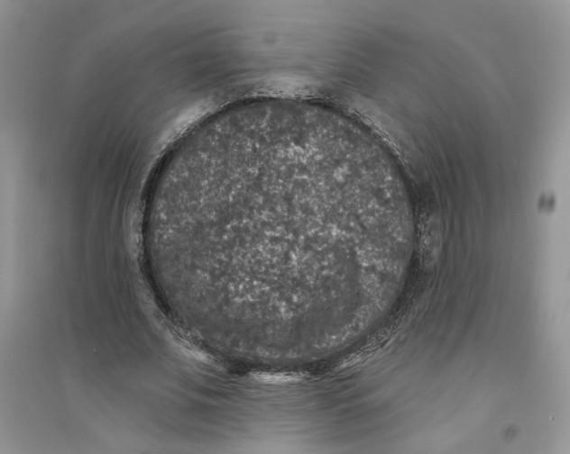 X0000094440679200711291636