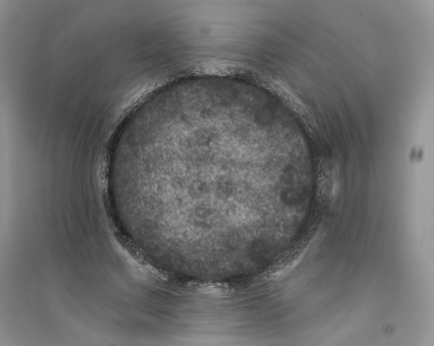 X0000094440683200711291636