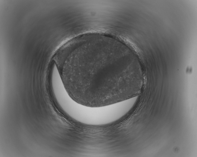 X0000094440684200711291636