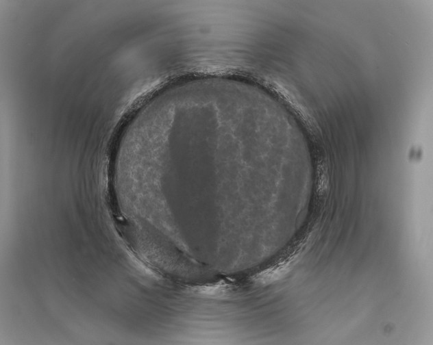 X0000094440685200711291636