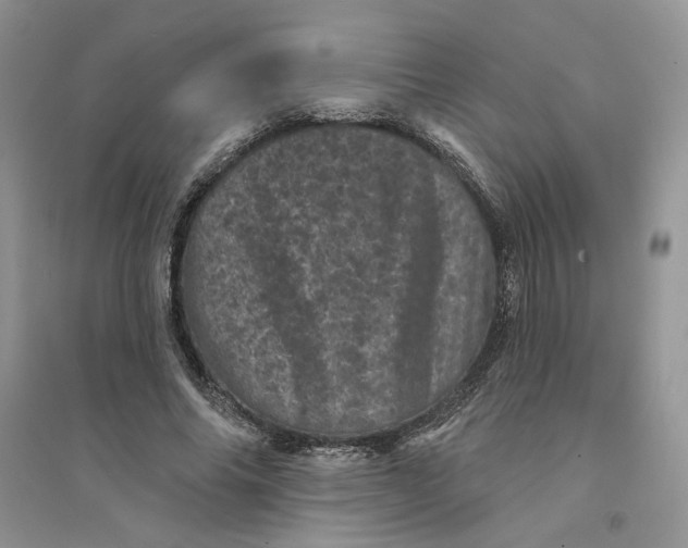 X0000094440686200711291636