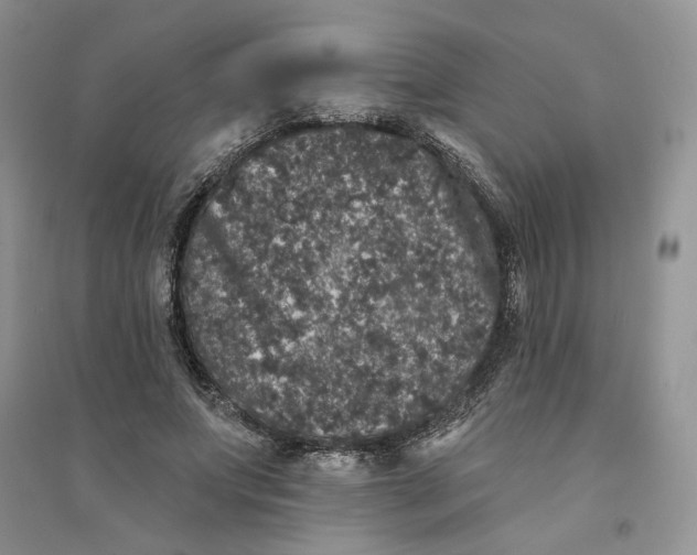 X0000094440687200711291636