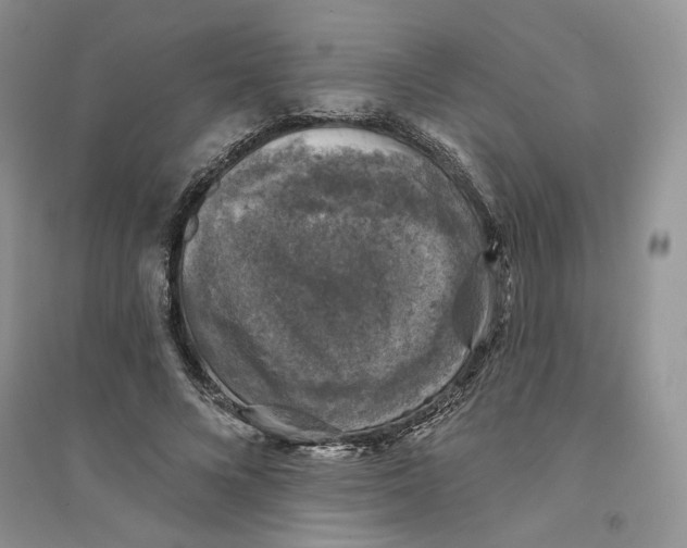 X0000094440688200711291636