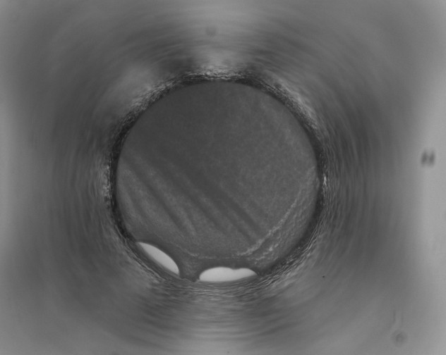 X0000094440689200711291636