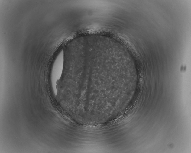 X0000094440691200711291636