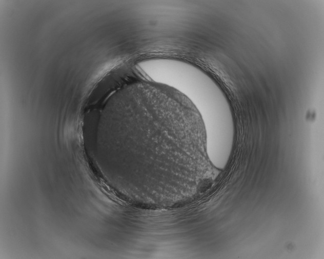 X0000094440692200711291636