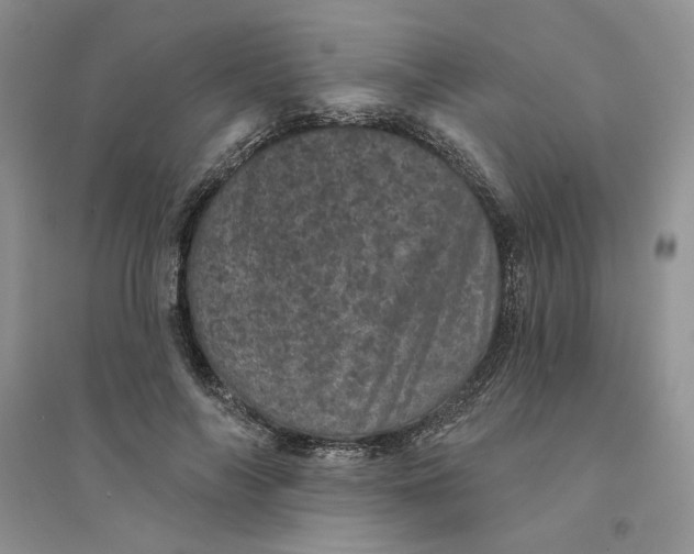 X0000094440694200711291636