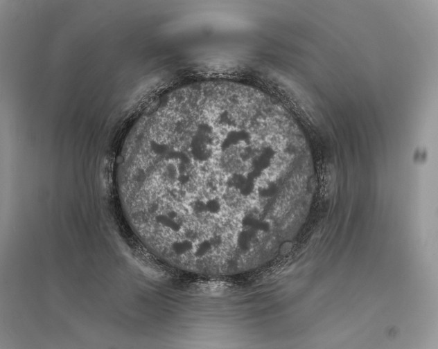 X0000094440695200711291636