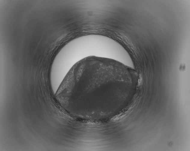 X0000094440697200711291636