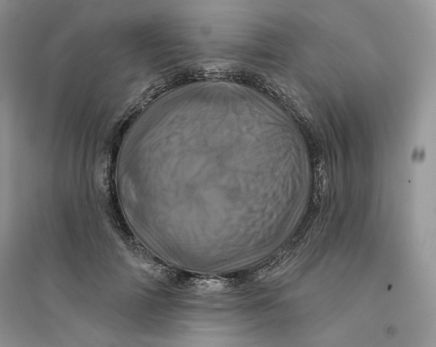 X0000094440698200711291636