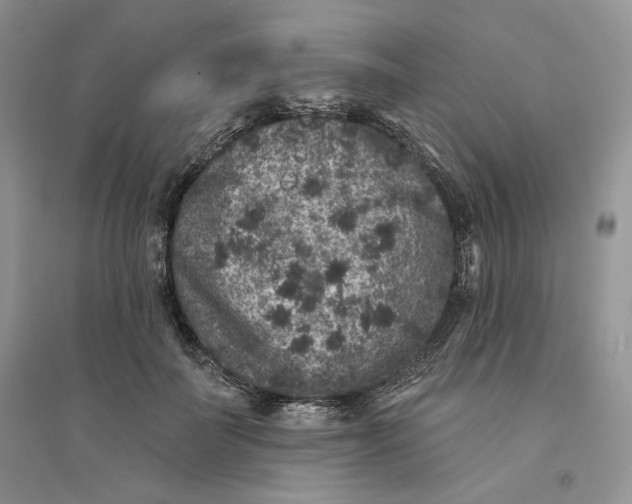 X0000094440699200711291636