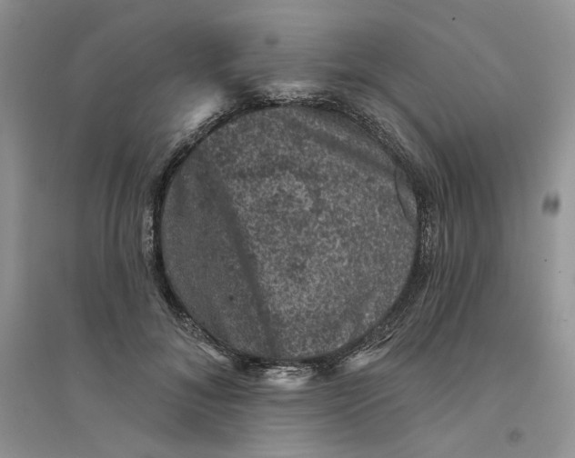 X0000094440700200711291636