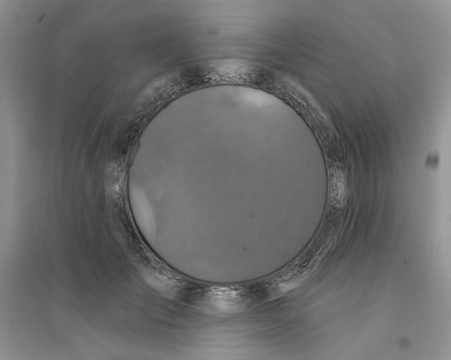 X0000094440701200711291636