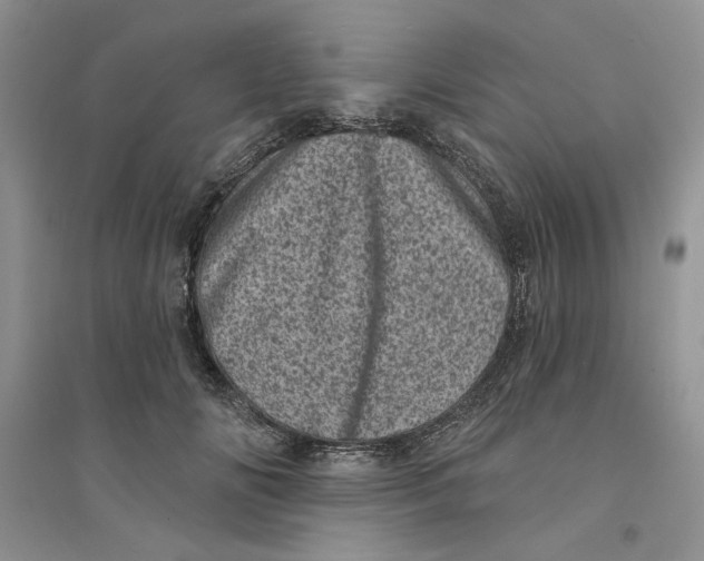 X0000094440702200711291636