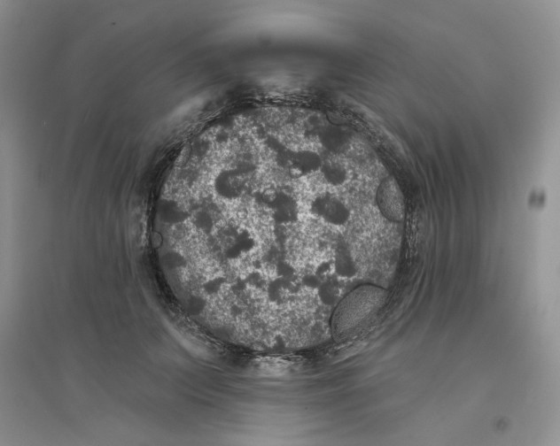 X0000094440703200711291636