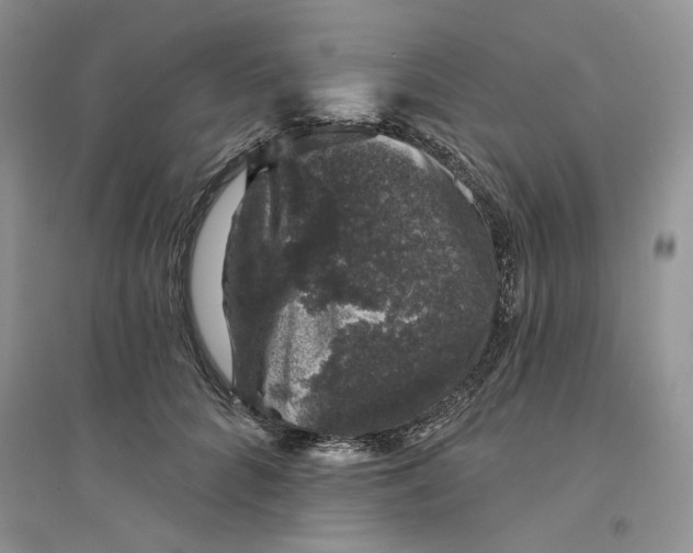 X0000094440704200711291636