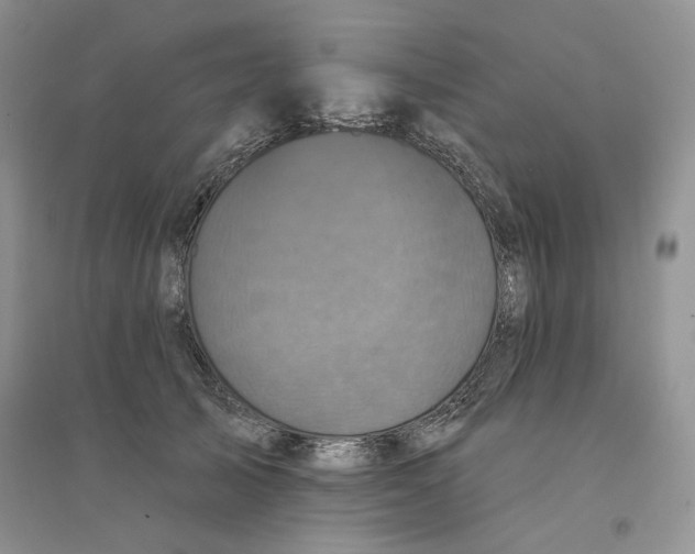 X0000094440705200711291636