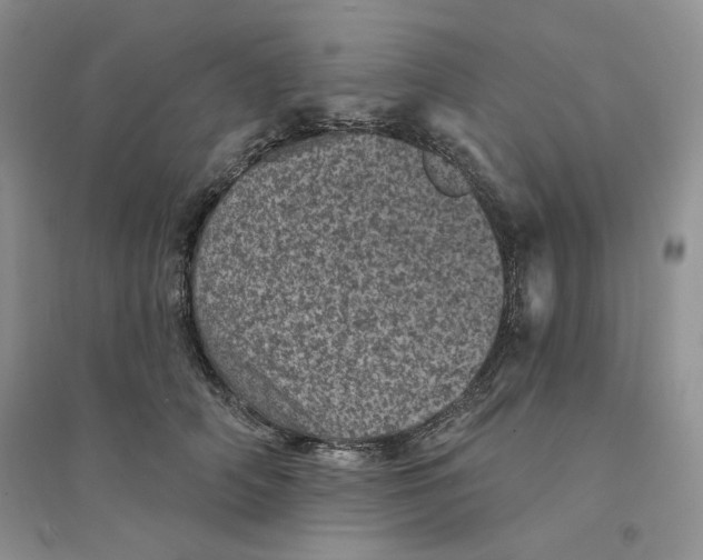 X0000094440706200711291636