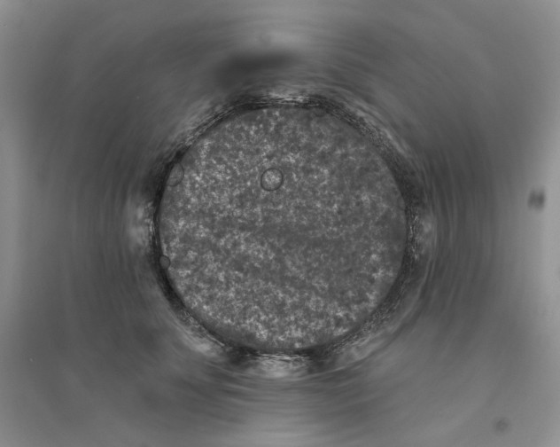 X0000094440707200711291636