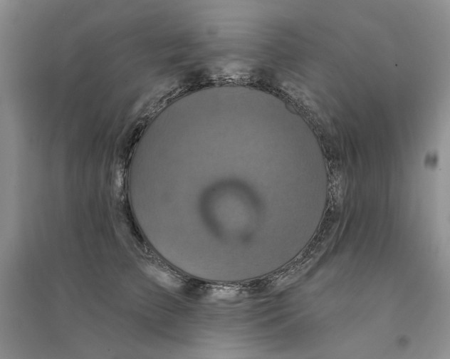 X0000094440709200711291636