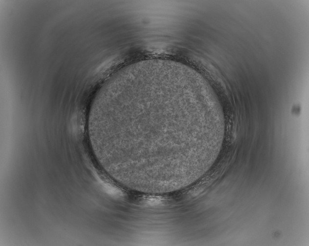 X0000094440710200711291636