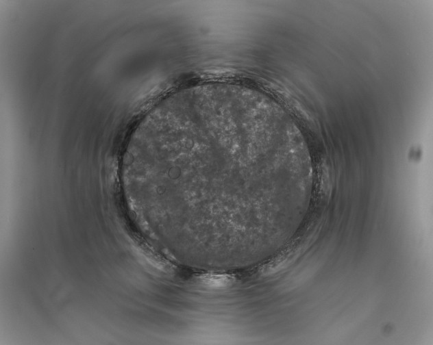 X0000094440711200711291636