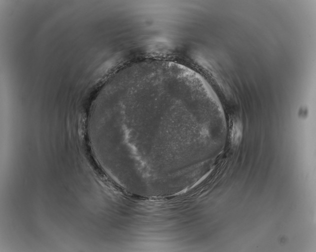 X0000094440712200711291636