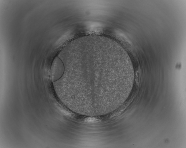 X0000094440714200711291636