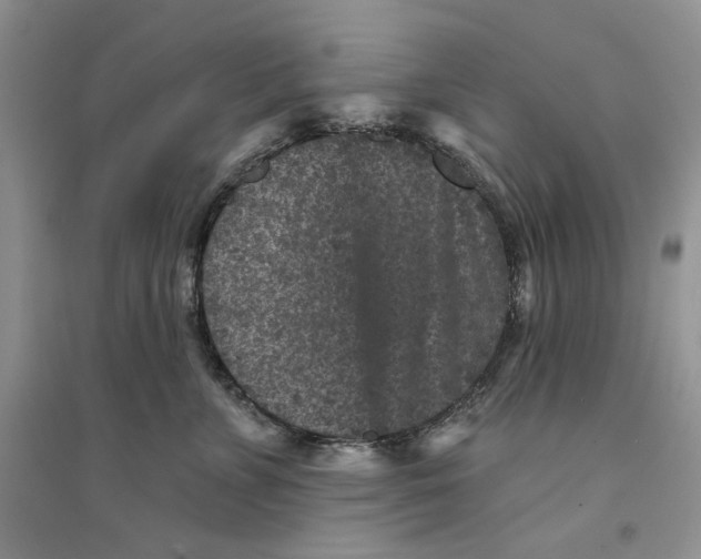 X0000094440715200711291636