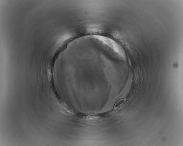 X0000094440716200711291636