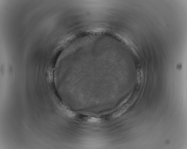 X0000094440718200711291636