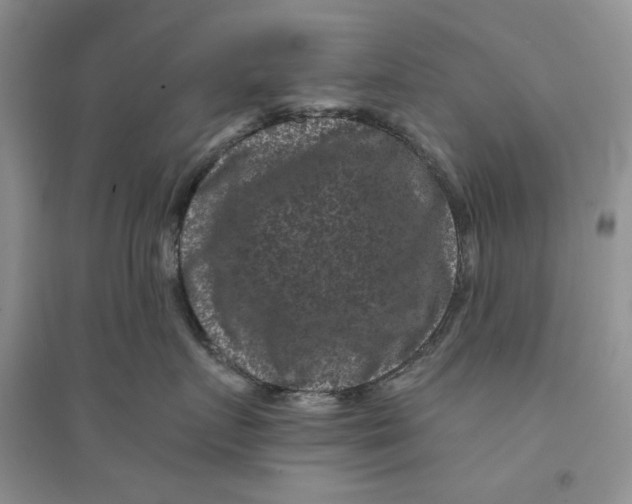 X0000094440719200711291636