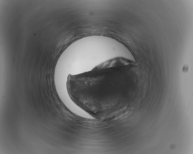 X0000094440720200711291635