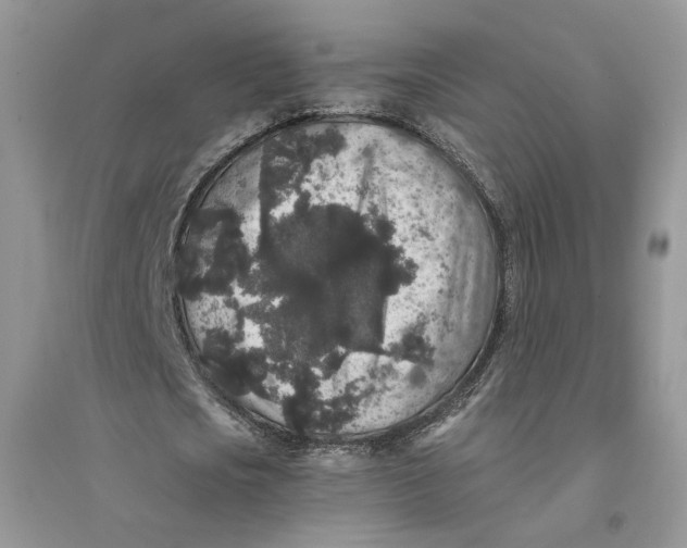 X0000094440721200711291635