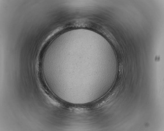 X0000094440722200711291635